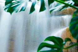  - Westin Kansas City at Crown Center Hotel