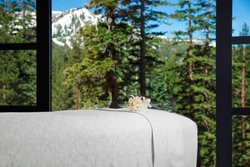  - Westin Monache Resort Mammoth Lakes
