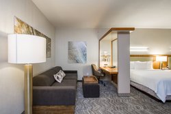  - SpringHill Suites by Marriott San Angelo