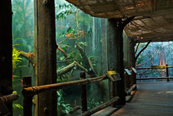  - Staybridge Suites U District Seattle