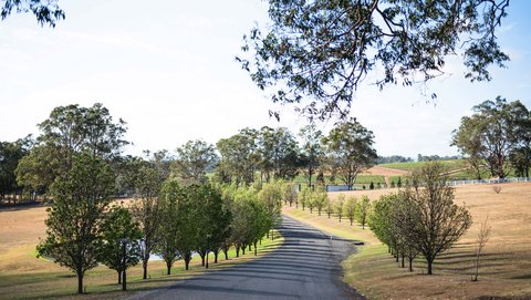 VOCO KIRKTON PARK HUNTER VALLEY - Photo 5