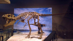  - Holiday Inn Express & Suites Salt Lake City