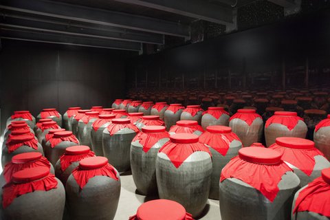 THE ST REGIS CHENGDU - Photo 28