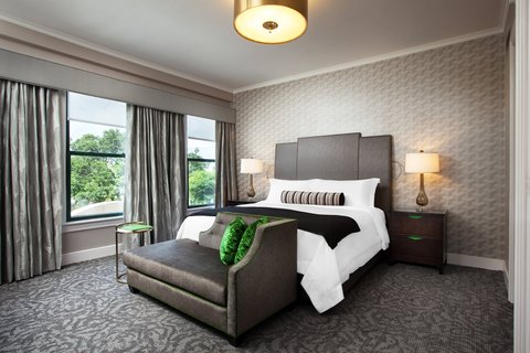 THE ST ANTHONY SAN ANTONIO - Photo 8