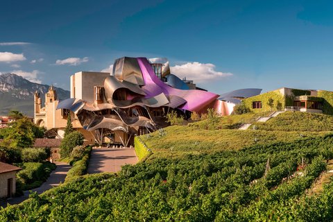 HOTEL MARQUES RISCAL ELCIEGO - Main Photo