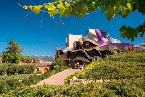 HOTEL MARQUES RISCAL ELCIEGO - Photo 6