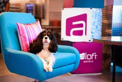 - Aloft Hotel Dadeland Miami