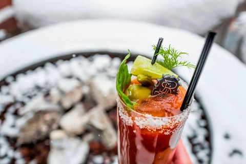 THE ST REGIS ASPEN RESORT - Photo 55