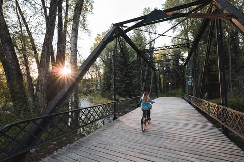 THE ST REGIS ASPEN RESORT - Photo 65