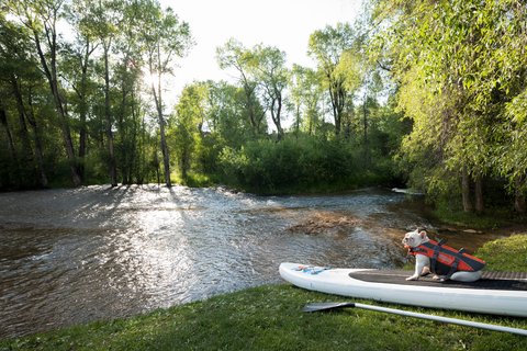 THE ST REGIS ASPEN RESORT - Photo 66