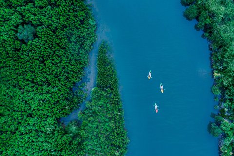 THE ST REGIS SANYA YALONG BAY - Photo 7