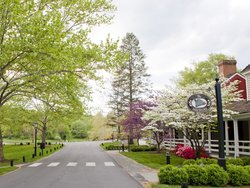  - Boar's Head Inn Charlottesville