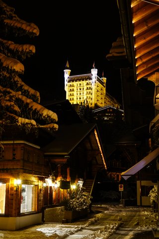 GSTAAD PALACE - Photo 97