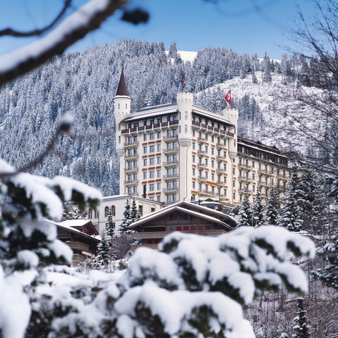 GSTAAD PALACE - Photo 98