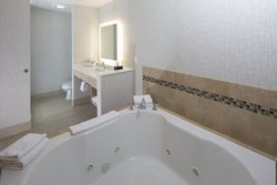  - Holiday Inn Express & Suites Rochester Hills - I-75, Exit 74