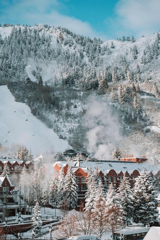 THE ST REGIS ASPEN RESORT - Photo 10