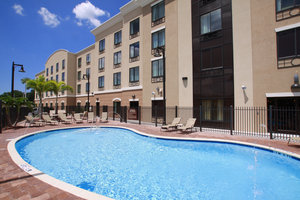 Holiday Inn Express Hotel Suites Busch Gardens Tampa Fl See