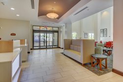  - Holiday Inn Express & Suites Busch Gardens Tampa