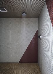  - Ace Hotel & Swim Club Palm Springs