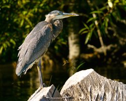  - Holiday Inn Express Klamath