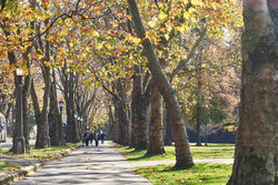  - Graduate Hotel University of Washington Seattle - I-5, Exit 169