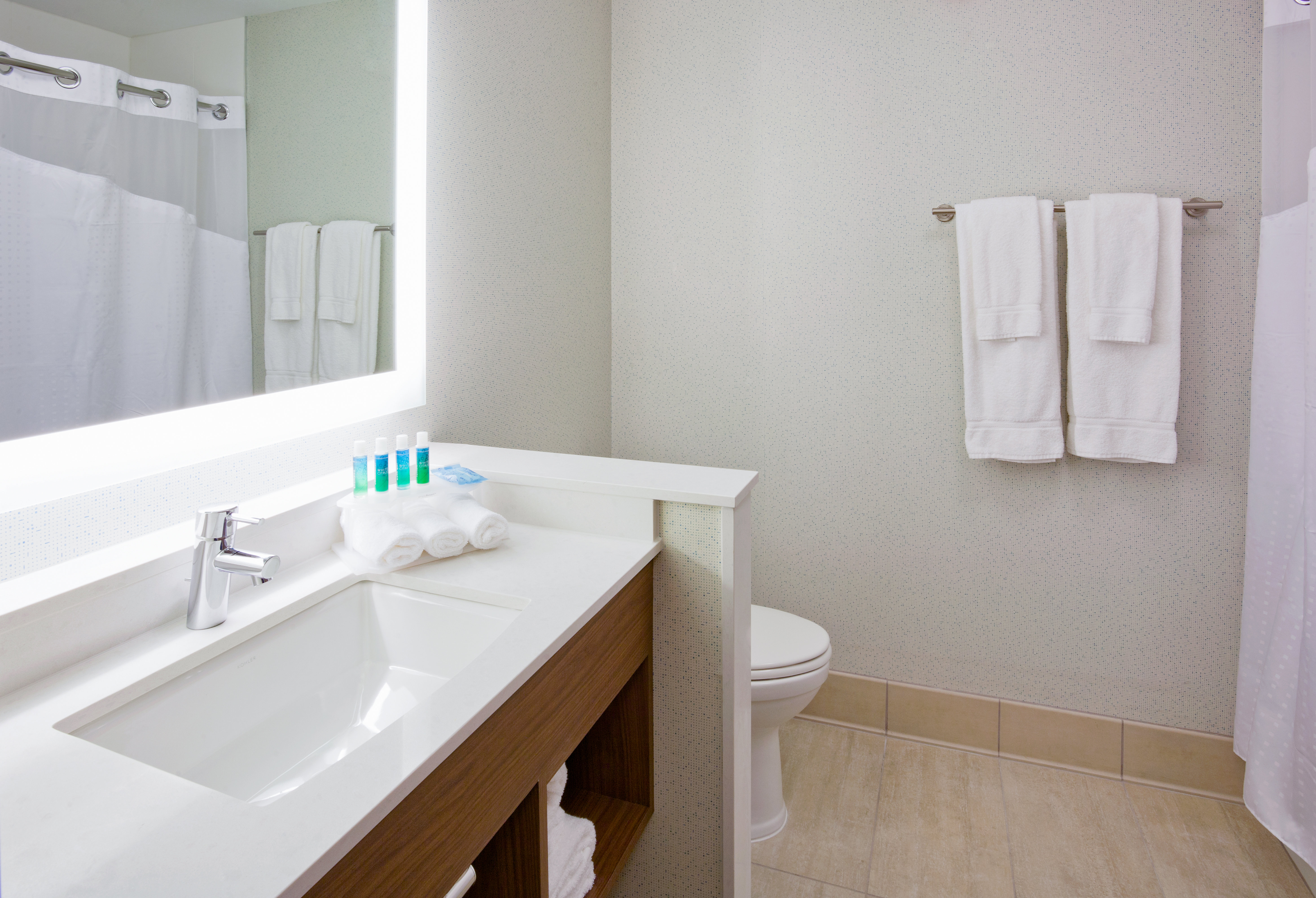 Holiday Inn Express & Suites Standard Guest Bathroom