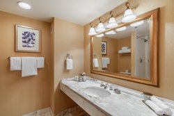  - Omni Mandalay Hotel Irving