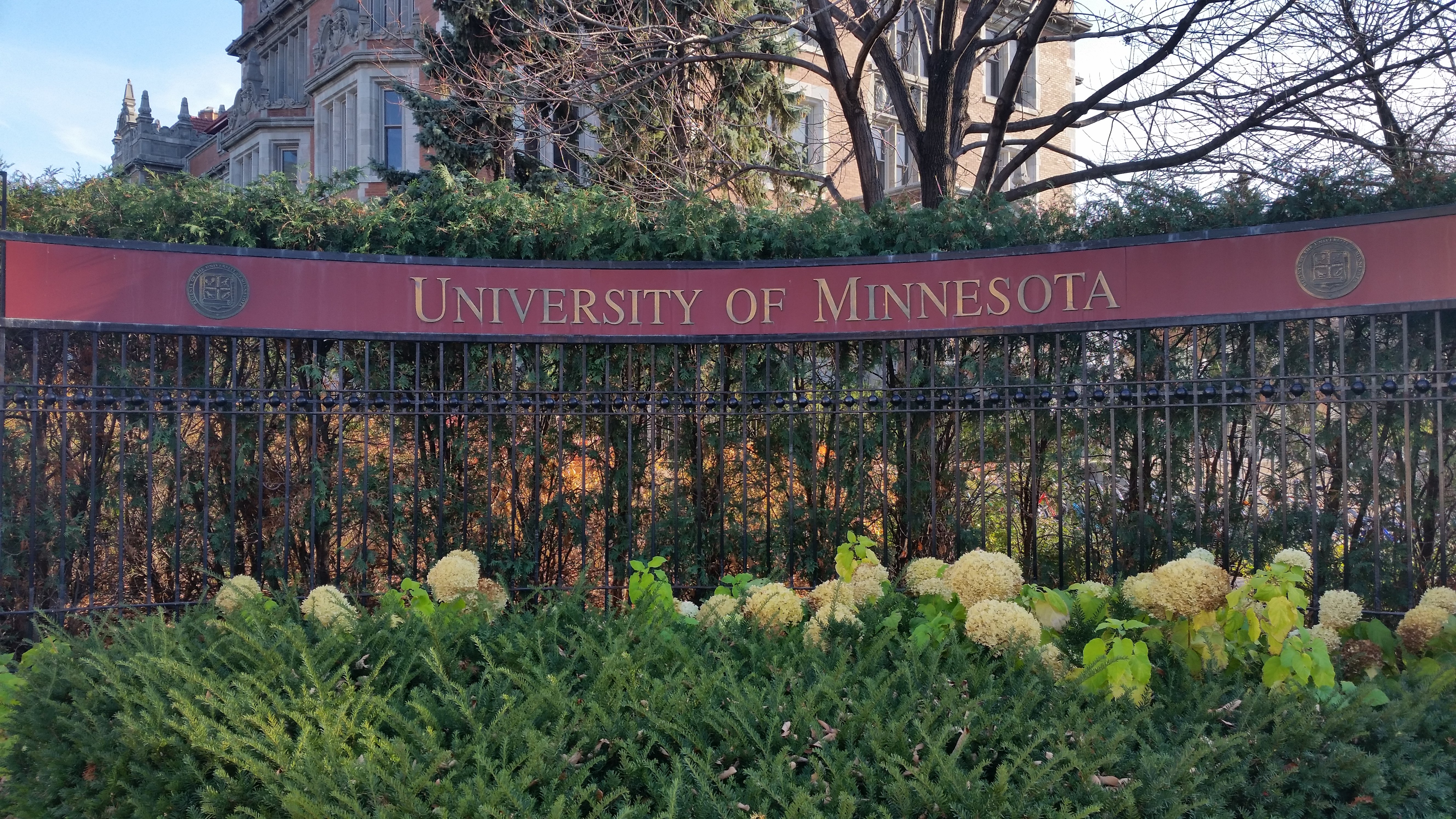 University of Minnesota