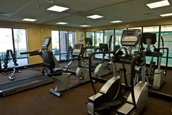  - Holiday Inn Express Dimondale - I-96, Exit 98