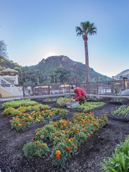  - Castle Hot Springs Resort