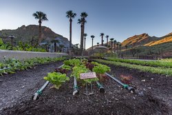  - Castle Hot Springs Resort