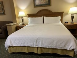  - Holiday Inn Express & Suites Alice