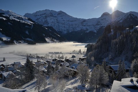 LENKERHOF GOURMET SPA RESORT - Photo 4