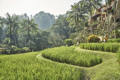 FOUR SEASONS RESORT BALI AT SAYAN - Photo 30