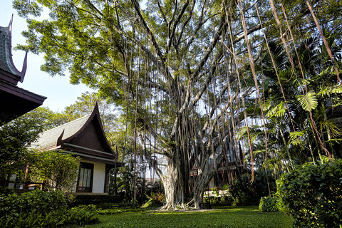 CHIVA-SOM - Main Photo