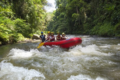FOUR SEASONS RESORT BALI AT SAYAN - Photo 26