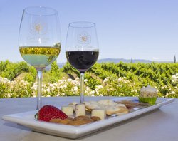  - Carter Estate Winery Resort Temecula