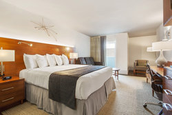  - Alder Hotel Uptown New Orleans