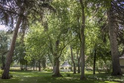  - Homestead Resort Midway