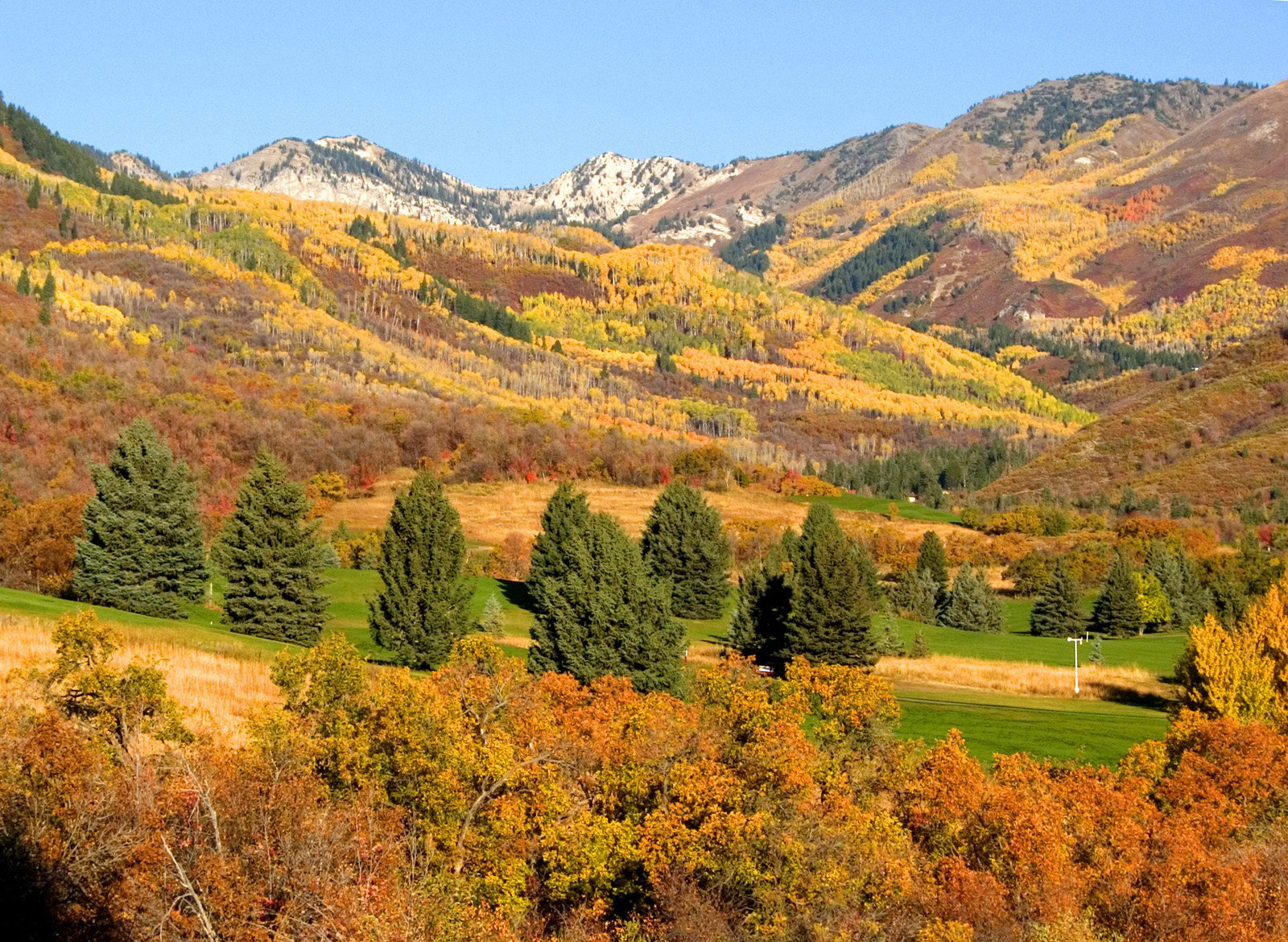 Wasatch State Park