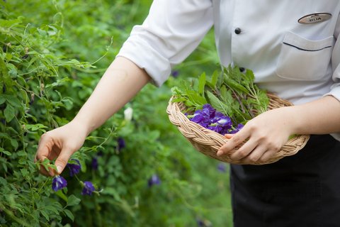 SANTIBURI KOH SAMUI - Photo 19