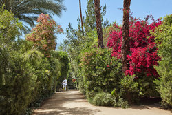 - Parker Hotel Palm Springs