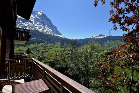 HOTEL CABANA - Photo 30