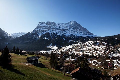 HOTEL CABANA - Photo 31