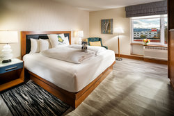  - Staypineapple Watertown Hotel Seattle - I-5, Exit 169