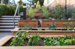  - Salish Lodge & Spa Snoqualmie