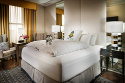  - Staypineapple Union Square Hotel San Francisco