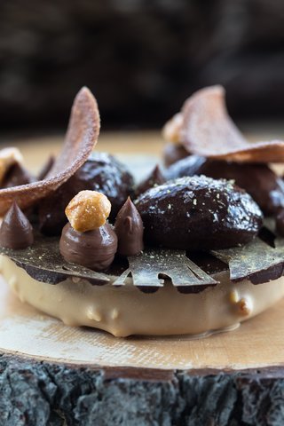 CRANS AMBASSADOR - Photo 20