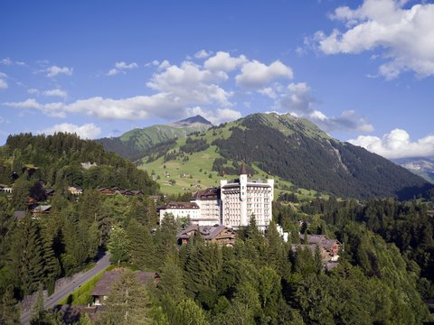 GSTAAD PALACE - Photo 90