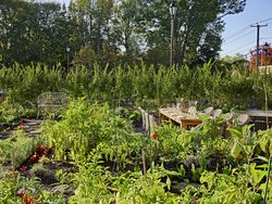  - Delamar Hotel West Hartford - I-84, Exit 43